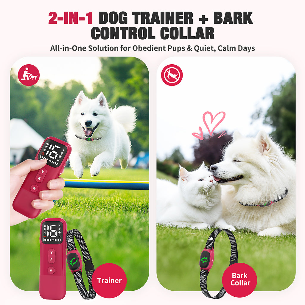 Jewyow 2-in-1 Dog Bark Collar with Remote & Auto Mode – 2600FT Electric Training Collar, IP67 Waterproof for Small Medium Large Dogs