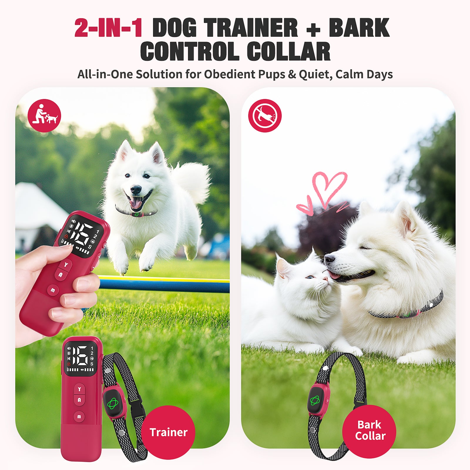 Jewyow 2-in-1 Dog Bark Collar with Remote & Auto Mode – 2600FT Electric Training Collar, IP67 Waterproof for Small Medium Large Dogs