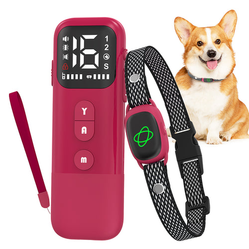 Jewyow 2-in-1 Dog Bark Collar with Remote & Auto Mode – 2600FT Electric Training Collar, IP67 Waterproof for Small Medium Large Dogs