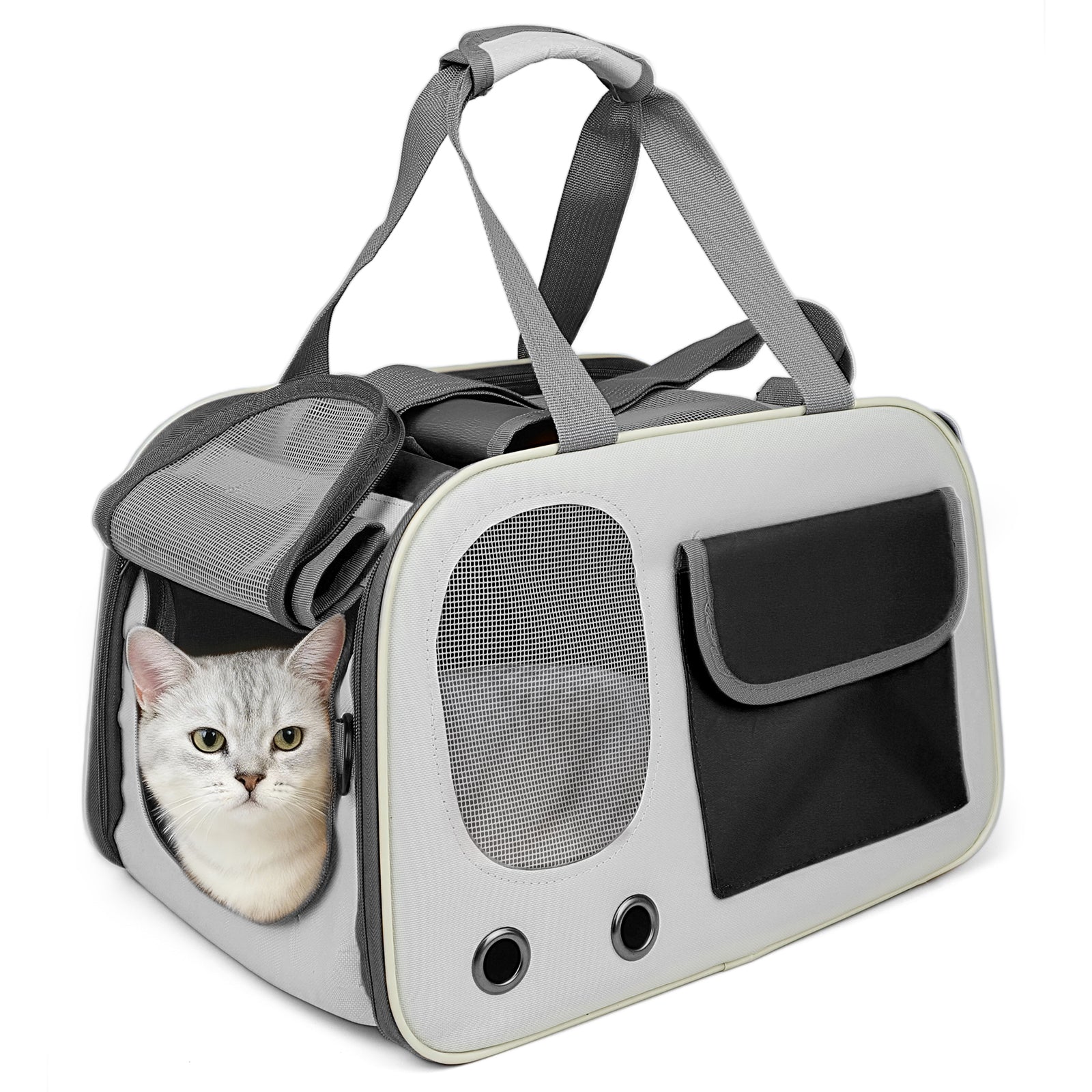 Jewyow Cat Carrier – Pet Carrier for Cats & Dogs, Enhanced Ventilation, Safety Locking Zippers, Padded Shoulder Strap (Black)