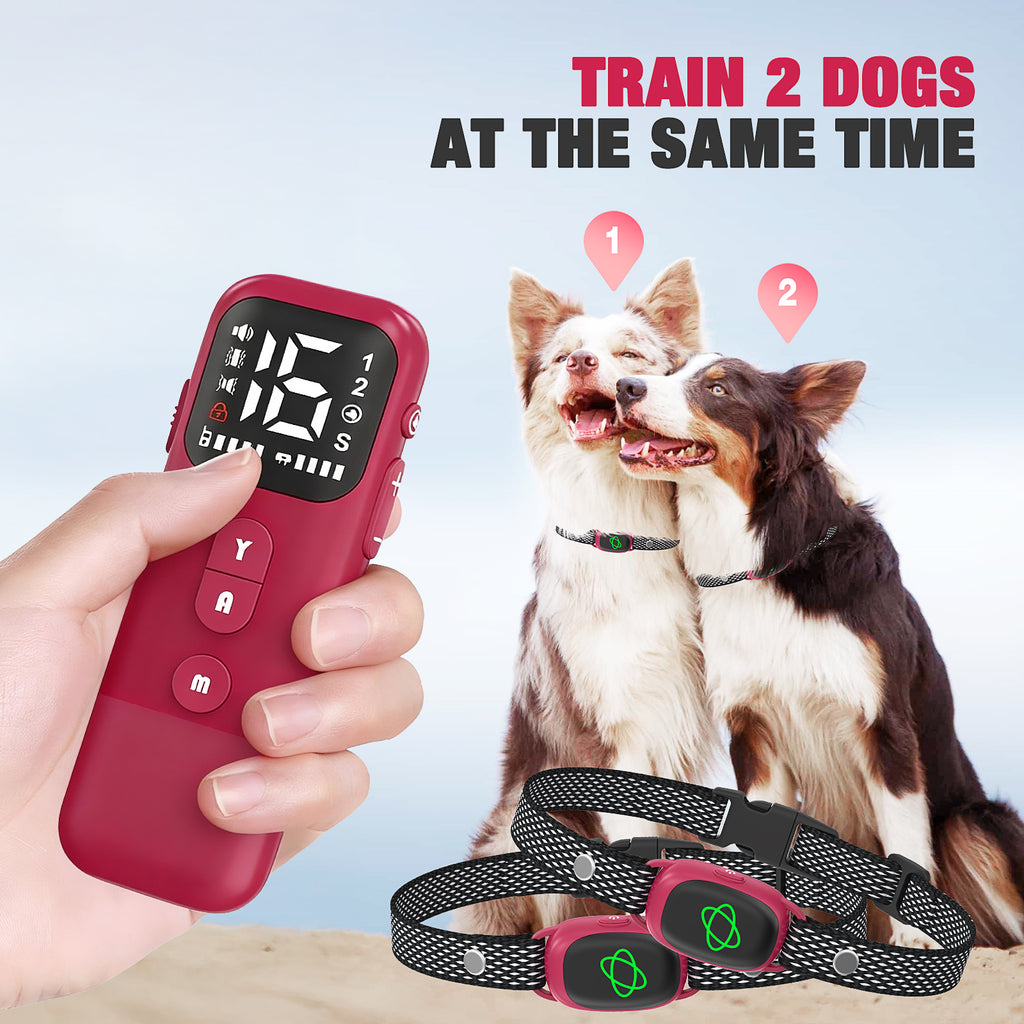 Jewyow 2-in-1 Dog Bark Collar with Remote & Auto Mode – 2600FT Electric Training Collar, IP67 Waterproof for Small Medium Large Dogs